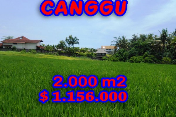 Fantastic Property in Indonesia, land for sale in Canggu Bali – TJCG093