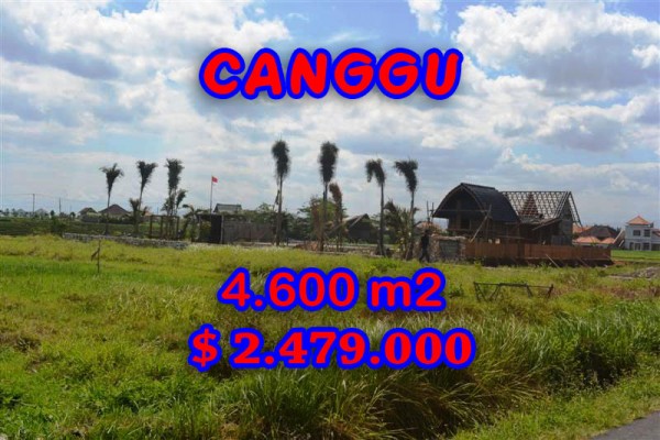 Land for sale in Canggu Bali, Wonderful view in Canggu pererenan – TJCG117