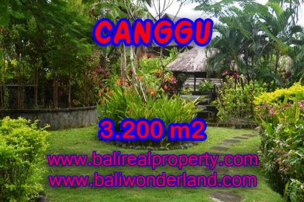 Magnificent Property for sale in Bali, land for sale in Canggu Bali – TJCG129