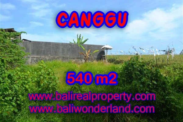 Land for sale in Canggu Bali, Astounding view in Canggu – TJCG131