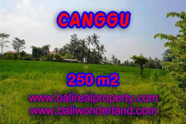 Land for sale in Canggu Bali, Magnificent view in Pererenan – TJCG135