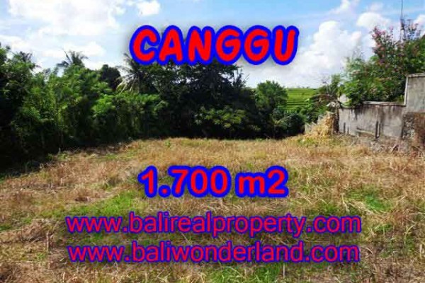 Land in Canggu for sale, Stunning view in Canggu Pererenan Bali – TJCG143