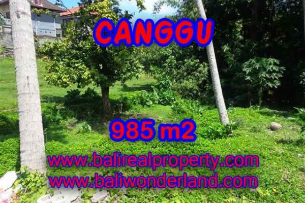 Land in Canggu Bali for sale, Outstanding view in Canggu Pererenan – TJCG147