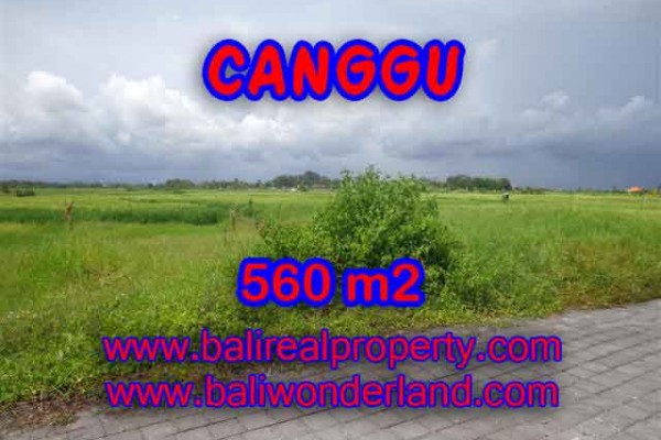 Land in Canggu for sale, Amazing view in Canggu Cemagi Bali – TJCG138