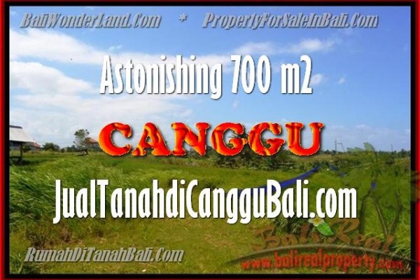700 m2 LAND FOR SALE IN Canggu Kayu tulang BALI TJCG155