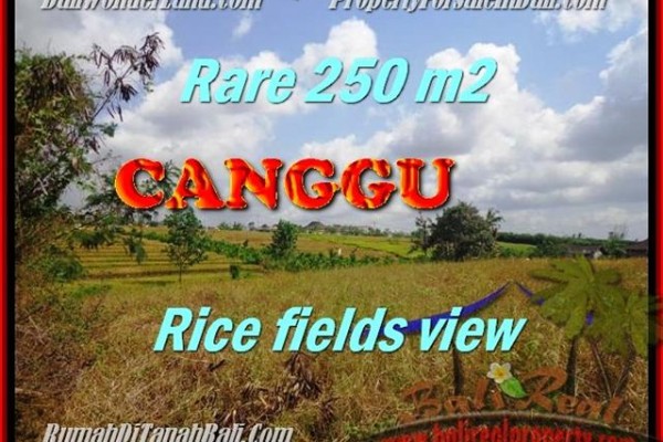 LAND IN CANGGU BALI FOR SALE TJCG164