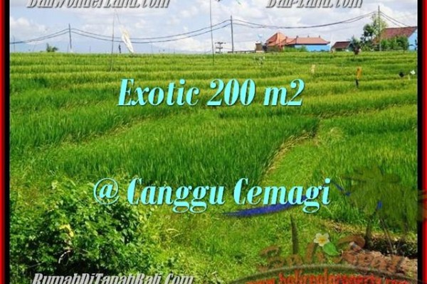 200 m2 LAND FOR SALE IN Canggu Cemagi BALI TJCG170