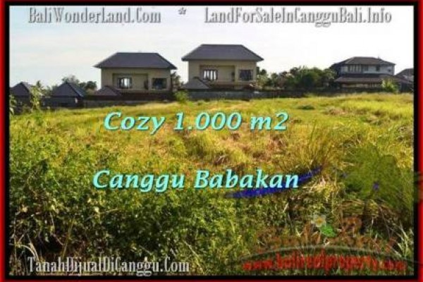 Affordable PROPERTY Canggu Batu Bolong  LAND FOR SALE TJCG178