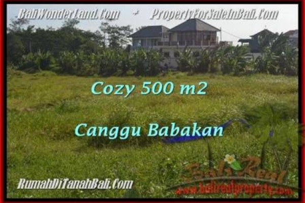 Affordable PROPERTY Canggu Batu Bolong  LAND FOR SALE TJCG179