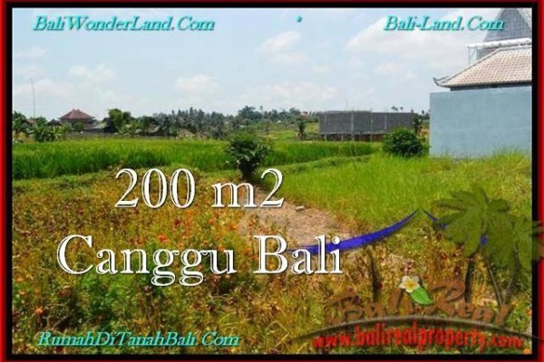 Affordable PROPERTY 200 m2 LAND IN Canggu Pererenan FOR SALE TJCG191