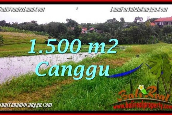 Magnificent PROPERTY 1,500 m2 LAND IN CANGGU BALI FOR SALE TJCG198