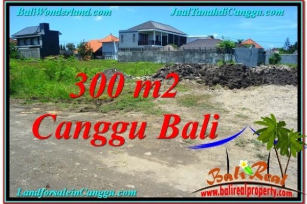 Beautiful PROPERTY 300 m2 LAND FOR SALE IN CANGGU TJCG203