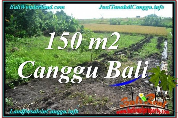 FOR SALE Affordable PROPERTY LAND IN Canggu Pererenan TJCG213