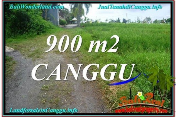 Affordable PROPERTY 900 m2 LAND IN Canggu Batu Bolong  BALI FOR SALE TJCG215