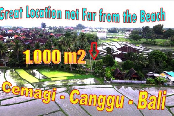Magnificent Canggu Cemagi LAND FOR SALE TJCG268