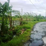 Land for sale in Canggu Bali - LCG043