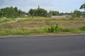 Land for sale in Canggu Bali - LCG064