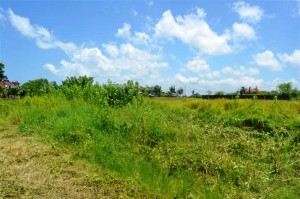 Land for sale in Canggu Berawa
