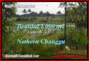 Exotic PROPERTY 1,000 m2 LAND IN CANGGU BALI FOR SALE TJCG180