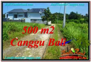 FOR SALE Affordable LAND IN Canggu Brawa TJCG201
