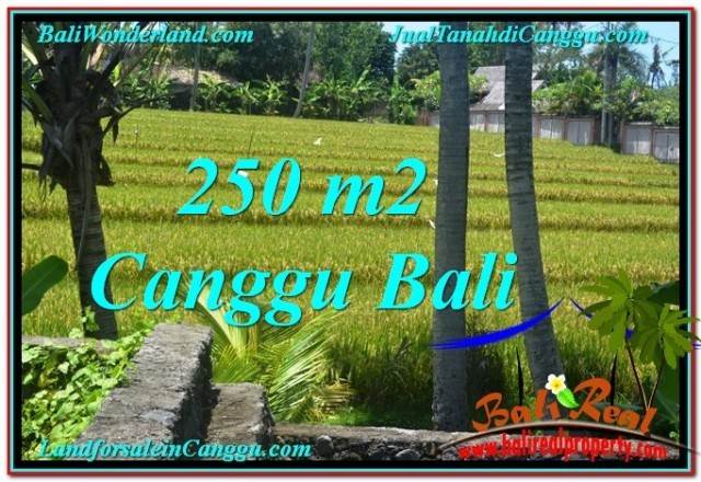 FOR SALE Affordable 250 m2 LAND IN Canggu Pererenan TJCG207