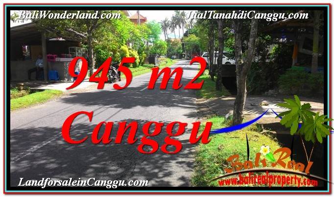 Exotic LAND IN Canggu Pererenan FOR SALE TJCG210