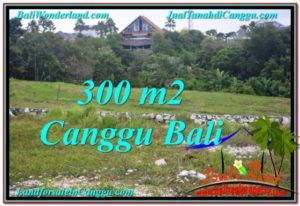 CANGGU 300 m2 LAND FOR SALE TJCG205