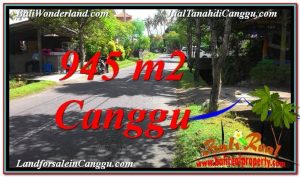 Affordable LAND SALE IN Canggu Pererenan TJCG210