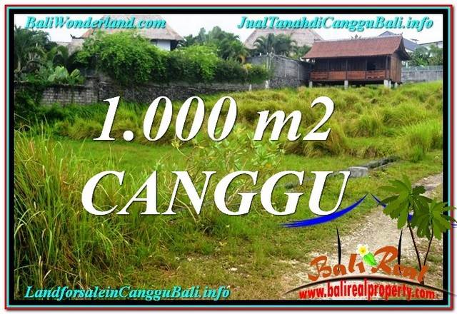 Magnificent PROPERTY 1,000 m2 LAND IN Canggu Pererenan BALI FOR SALE TJCG214