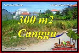 Affordable CANGGU BRAWA BALI LAND FOR SALE TJCG225
