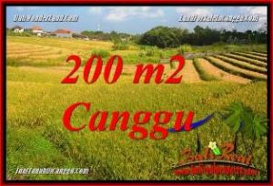 FOR SALE Affordable LAND IN CANGGU BRAWA TJCG228