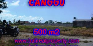 Land in Bali for sale, Eye-catching view in Canggu Bali – 500 sqm @ $ 850