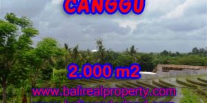 Land in Canggu for sale, Attractive view in Canggu Babakan Bali – TJCG133