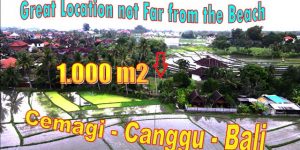 Magnificent Canggu Cemagi LAND FOR SALE TJCG268