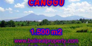 Interesting Land for sale in Canggu Bali, Rice fields and mountain view in Canggu Pererenan – TJCG144