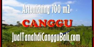 700 m2 LAND FOR SALE IN Canggu Kayu tulang BALI TJCG155