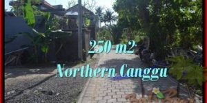 Affordable PROPERTY 250 m2 LAND FOR SALE IN Canggu Pererenan TJCG182