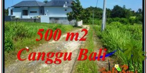 Beautiful PROPERTY 500 m2 LAND FOR SALE IN Canggu Brawa TJCG201