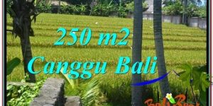 FOR SALE Affordable 250 m2 LAND IN Canggu Pererenan TJCG207