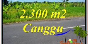 Magnificent PROPERTY 2,300 m2 LAND SALE IN CANGGU BALI TJCG209