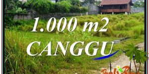 Magnificent PROPERTY 1,000 m2 LAND IN Canggu Pererenan BALI FOR SALE TJCG214