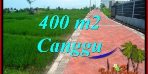 Magnificent LAND IN CANGGU BALI FOR SALE TJCG219