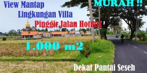Magnificent PROPERTY LAND SALE IN Canggu Pererenan TJCG265