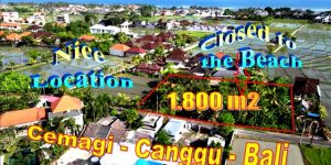 Affordable 1,800 m2 LAND FOR SALE IN Canggu Cemagi BALI TJCG267